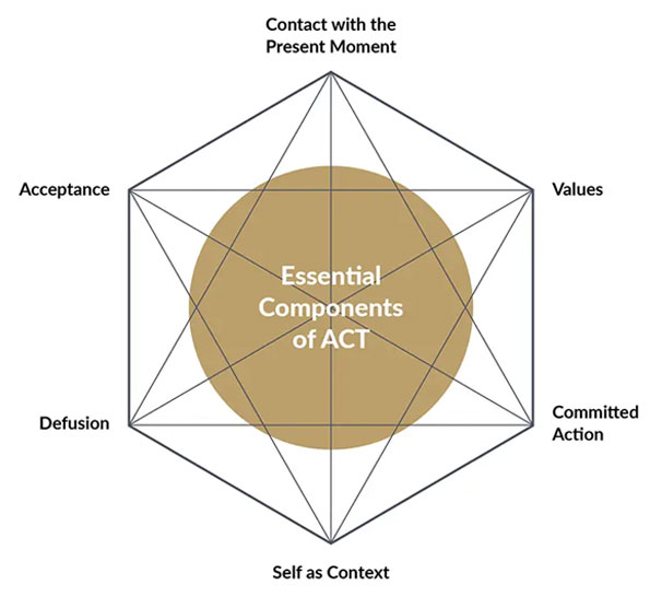 Lessons from the ACT Hexagon Model